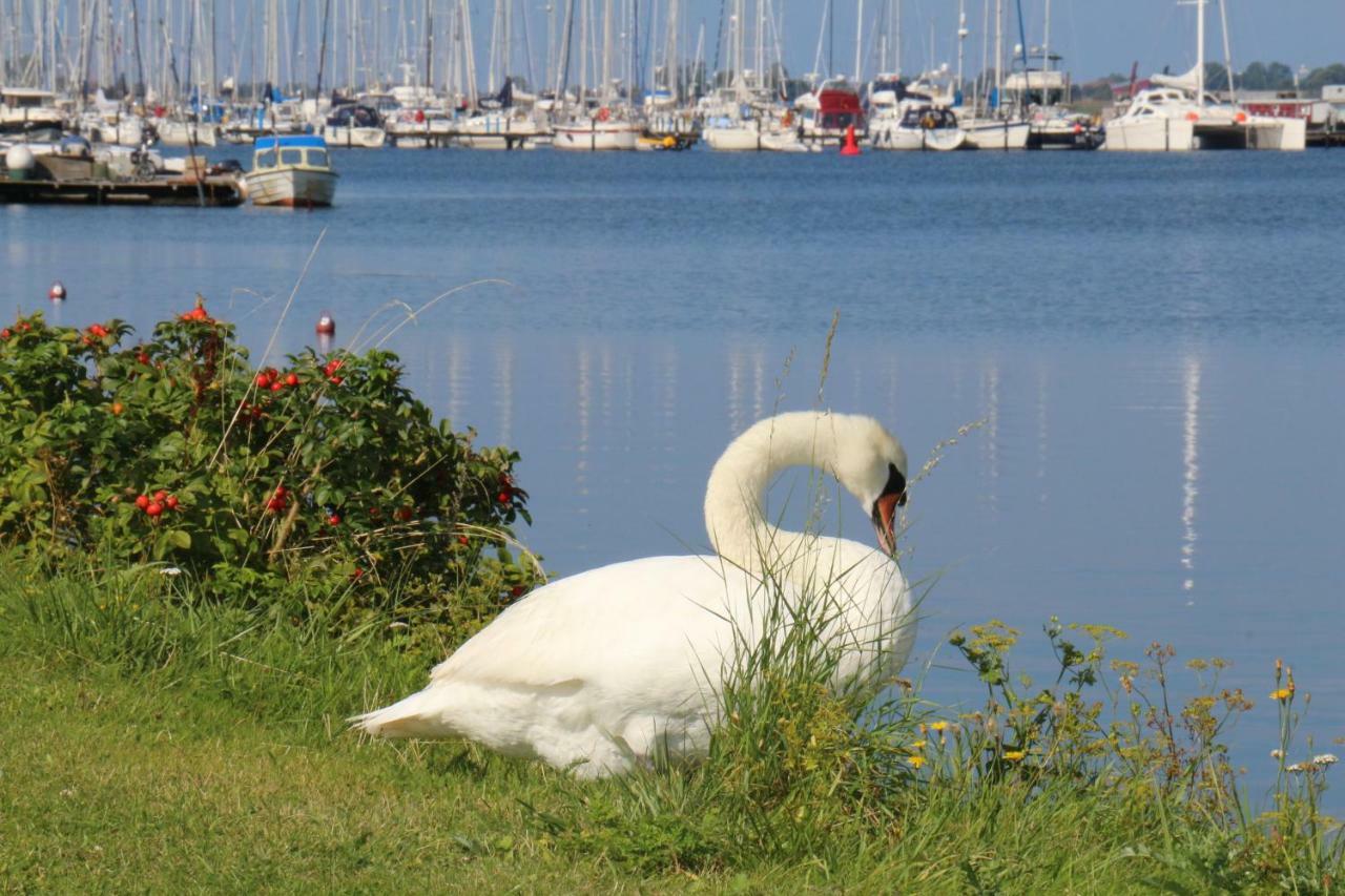 2Zi-Ferienwohnung Am Suedstrand Mit Eigenem Parkplatz Perfekt Fuer Familie Burgtiefe auf Fehmarn Εξωτερικό φωτογραφία